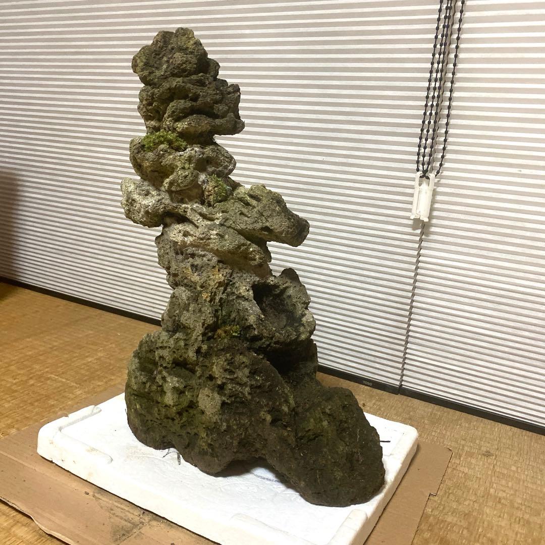 【美形】軽石　岩石　水槽　装飾 アクアリウム　NO3