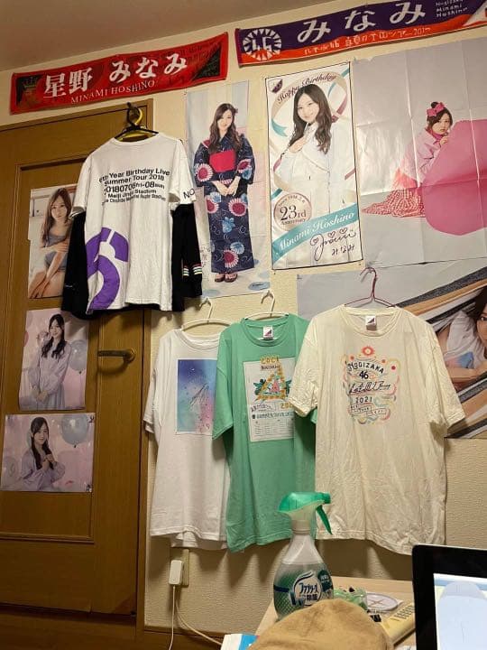 乃木坂46 星野みなみちゃんグッズ