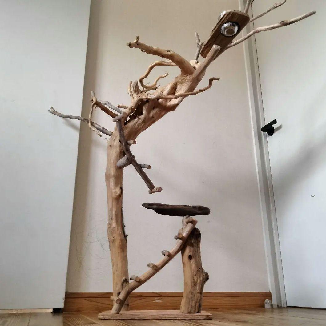 おつぶバードアスレチックジム㊽ 天然木 自然木 流木 止まり木 インコ