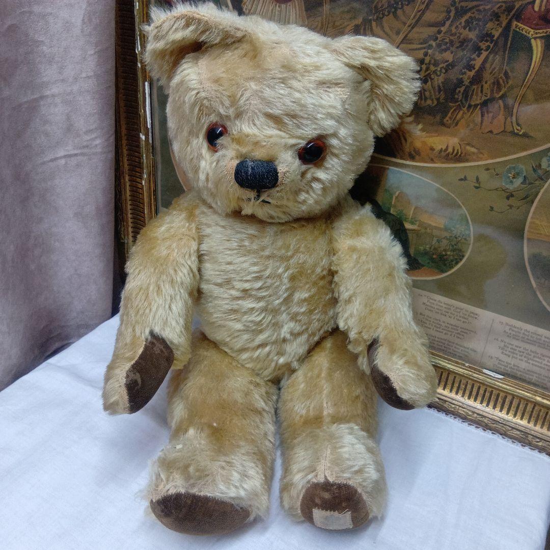 チコちゃん♥イギリスからやって来たクリクリお目目のアンティークチャドバレー