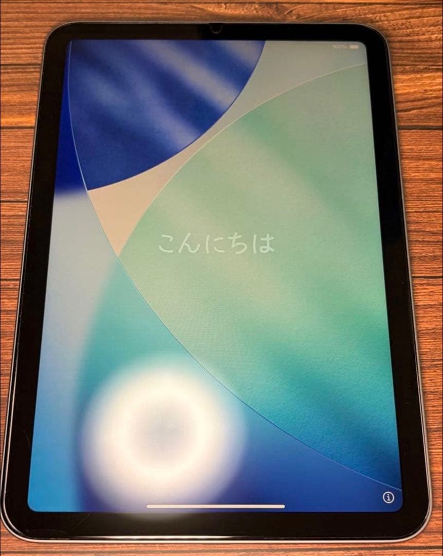 早いもの勝ち　Apple iPad mini 7