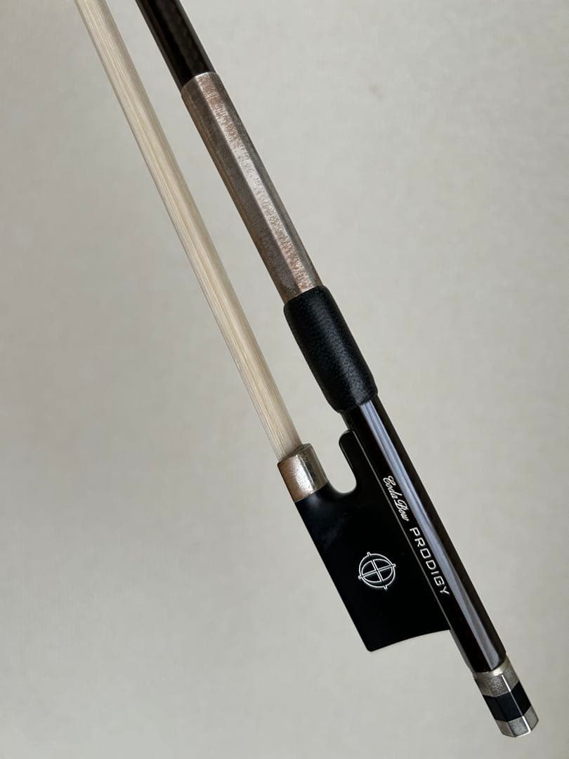 レイニ　Pretorio EV-300