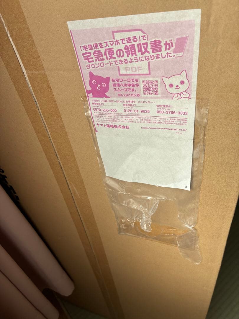 サーナイト　等身大　ぬいぐるみ　ポケセン限定　新品未開封