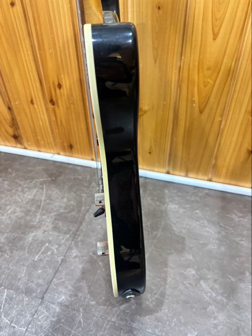 【 FERNANOES / エレキギター 】音楽　楽器 ギター フェルナンデス