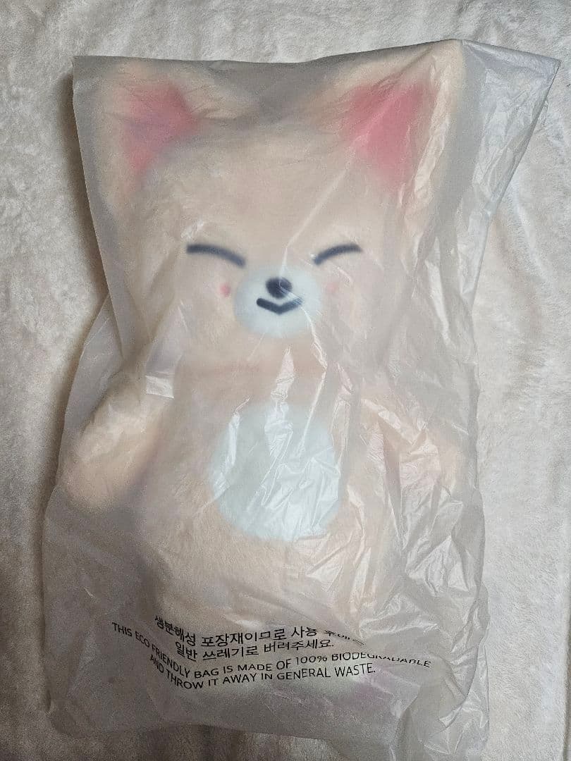 straykids 5'CLOCK アイエン フォクシニー テディベア