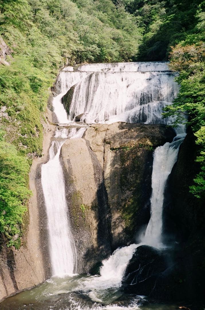 ライカ IIIf ELC とjupiter8セット (作例有)