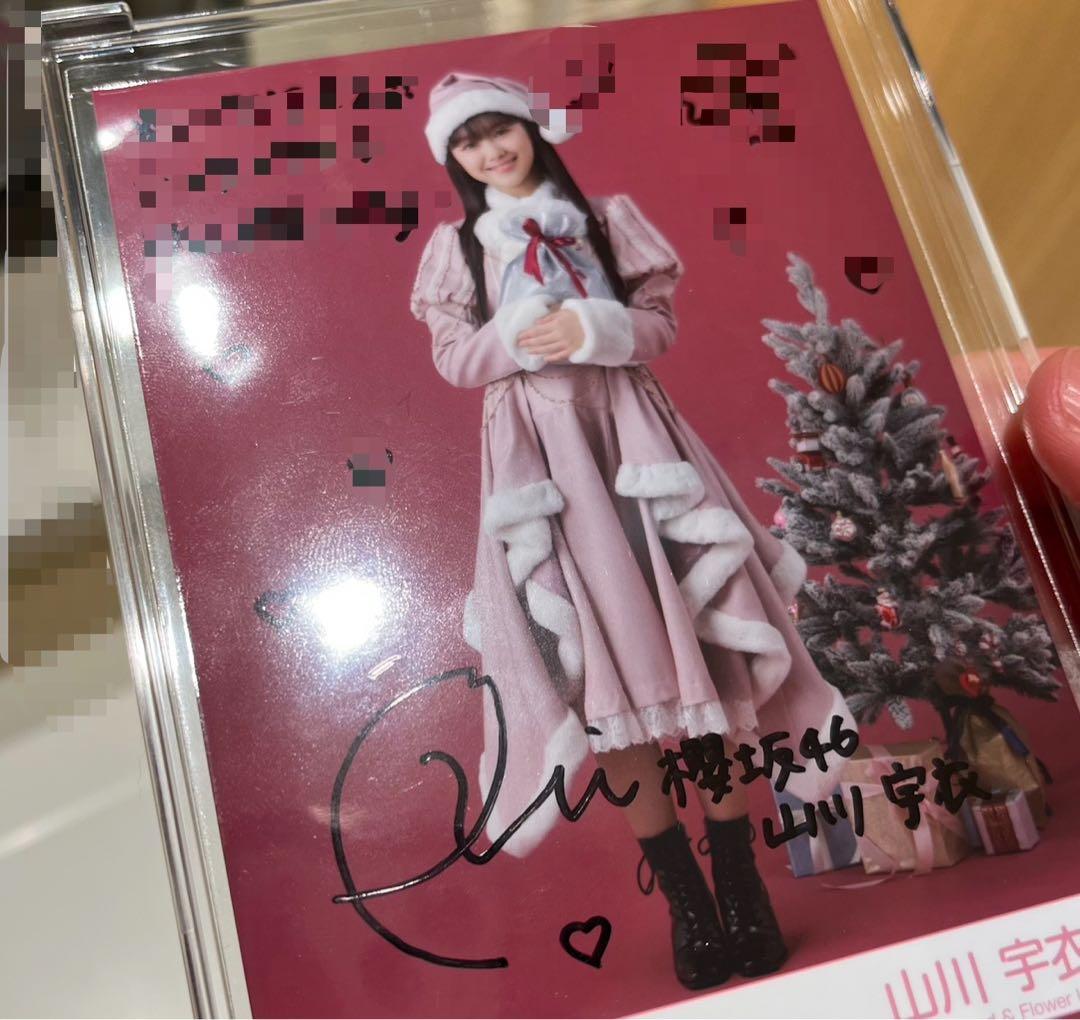 櫻坂46 山川宇衣　直筆サイン入り生写真 2025年サンタ衣装　即購入可