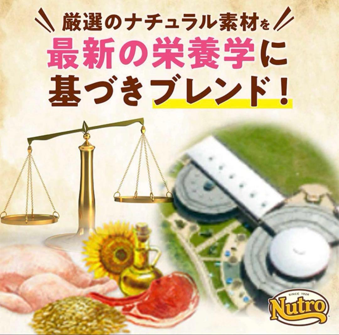 Nutro 室内猫用 ドライフード 3kg×4袋