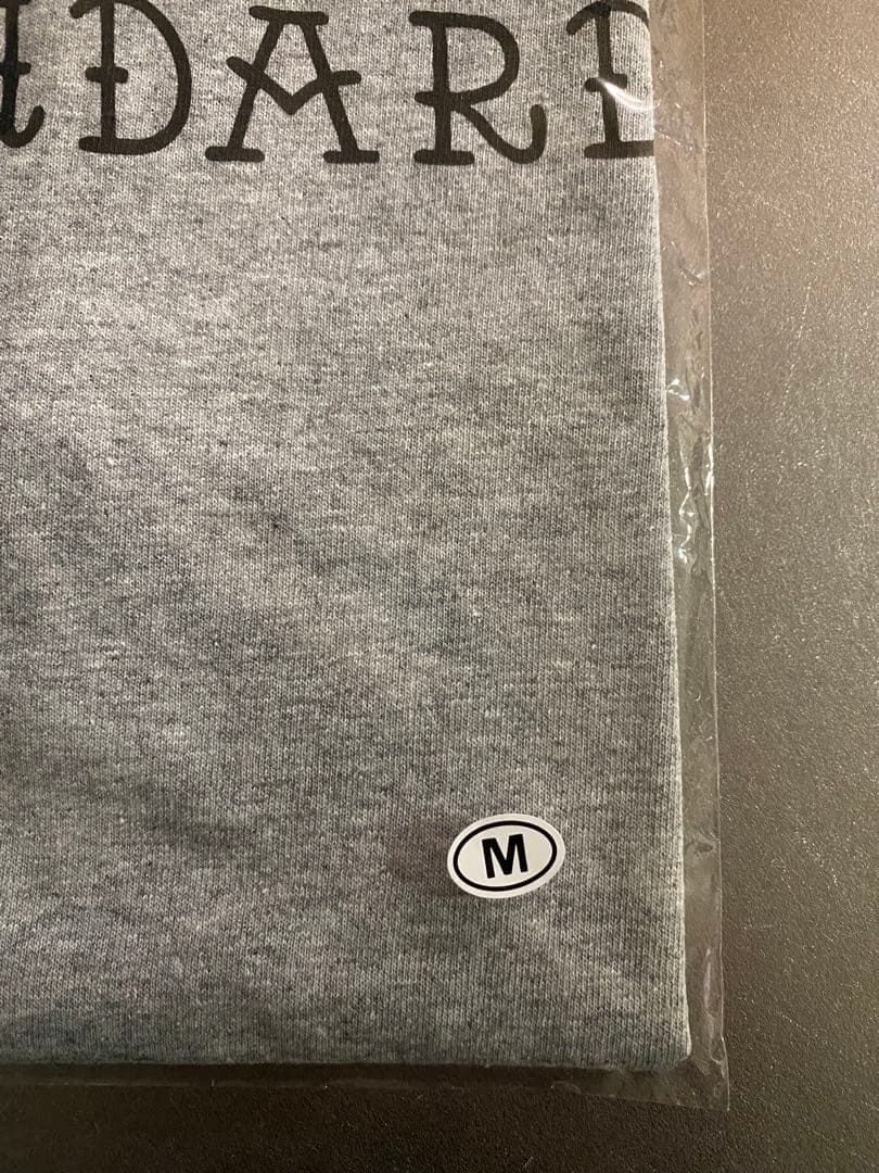 ◉限定色 Hi-STANDARD ハイスタンダード Tシャツ サタニック グレー