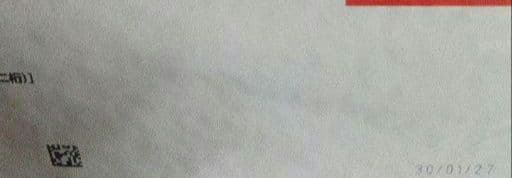 【新品未使用品】ロイヤルカナン　ミニインドアパピー　10kg