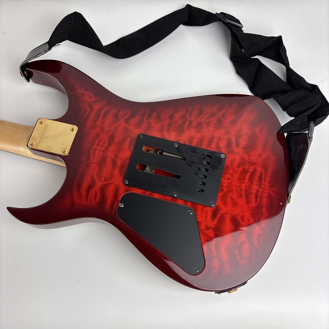 フェルナンデス Fernandes FGZ-400 エレキギター ソフトケース付