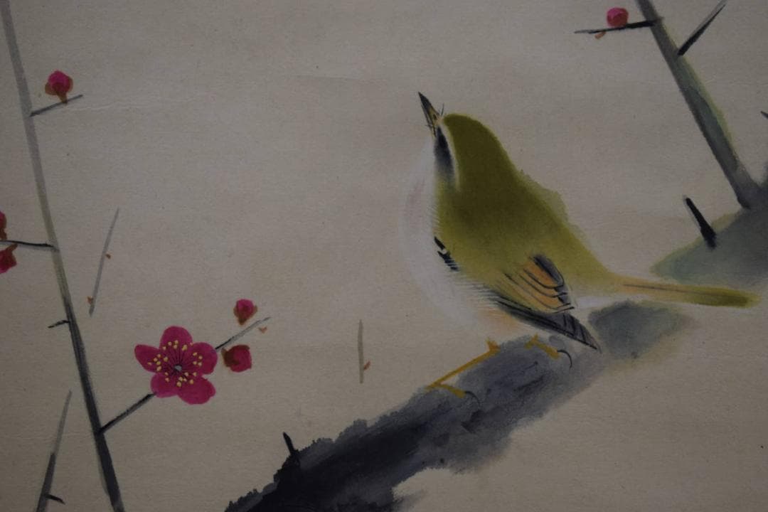 真作/森守明/西山翠嶂の門下/紅梅鴬図/京都市立芸大/布袋屋掛軸HJ-664