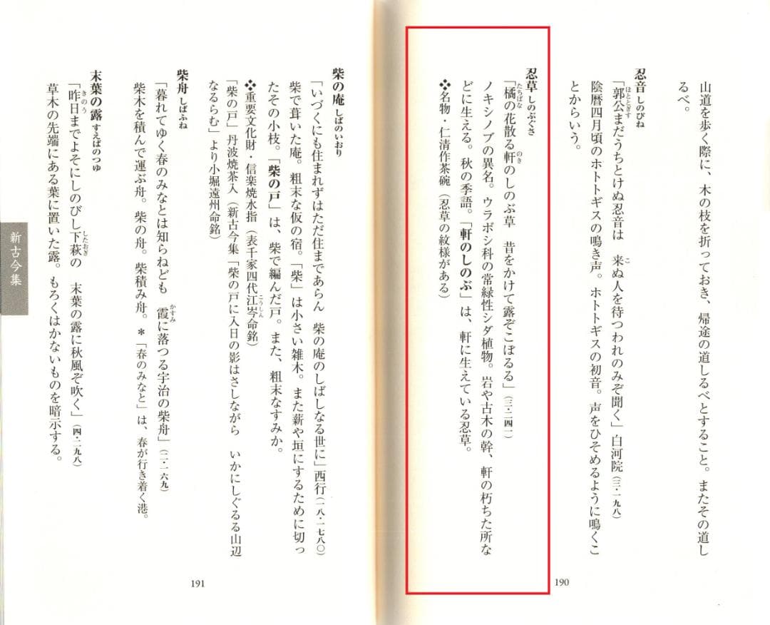 大徳寺435世管長 大綱宗彦自作『竹尺八花入  銘：忍草』