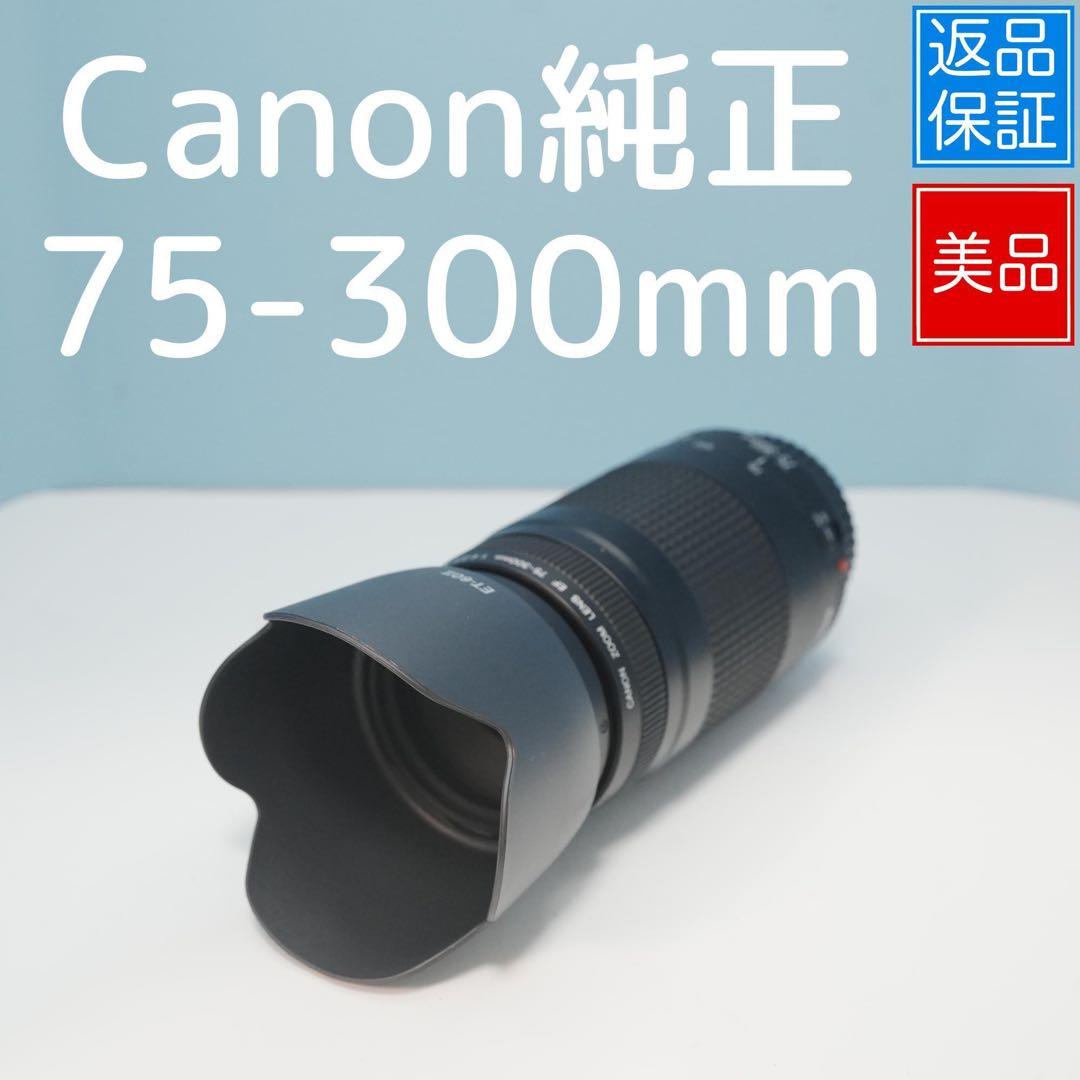 Canon純正 75-300mm 望遠レンズ 美品 a5123