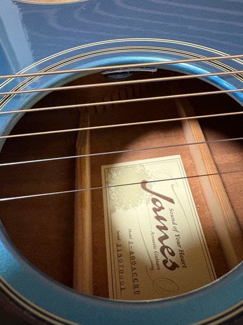 エレアコ　アコースティックギター　James J-400ACCBU