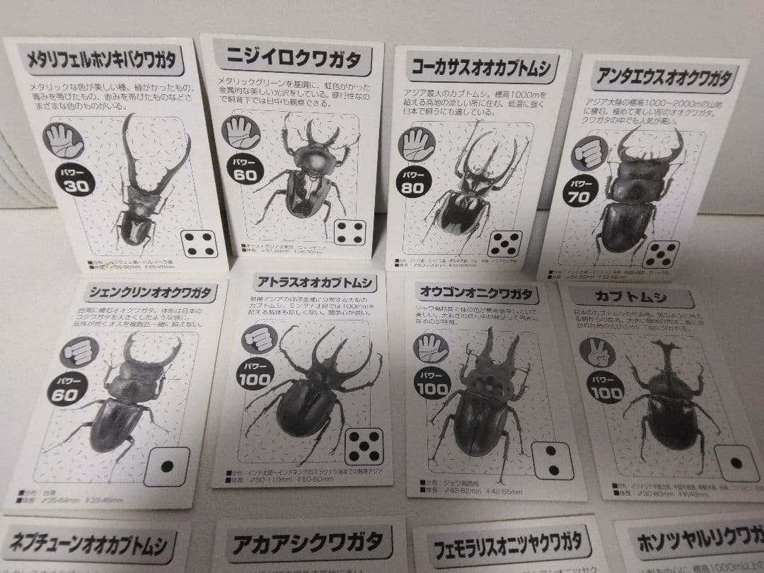 昆虫トレーディングカード 15枚セット