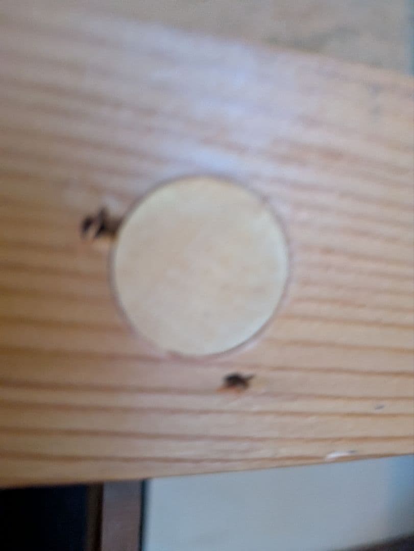 お茶道具　茶道具　立礼　点茶盤　茶会　お茶席