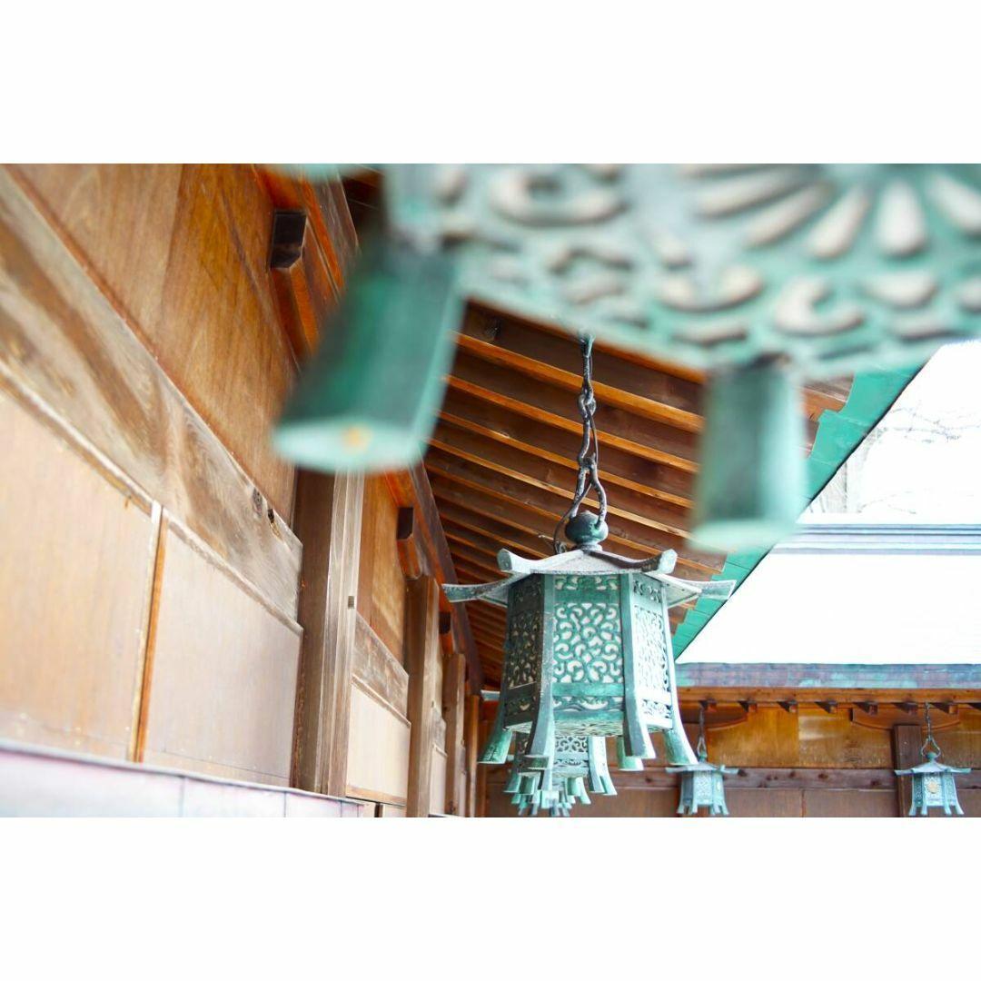 【良品/作例】Nikon AF 35-70mm F3.3-4.5 Zoom