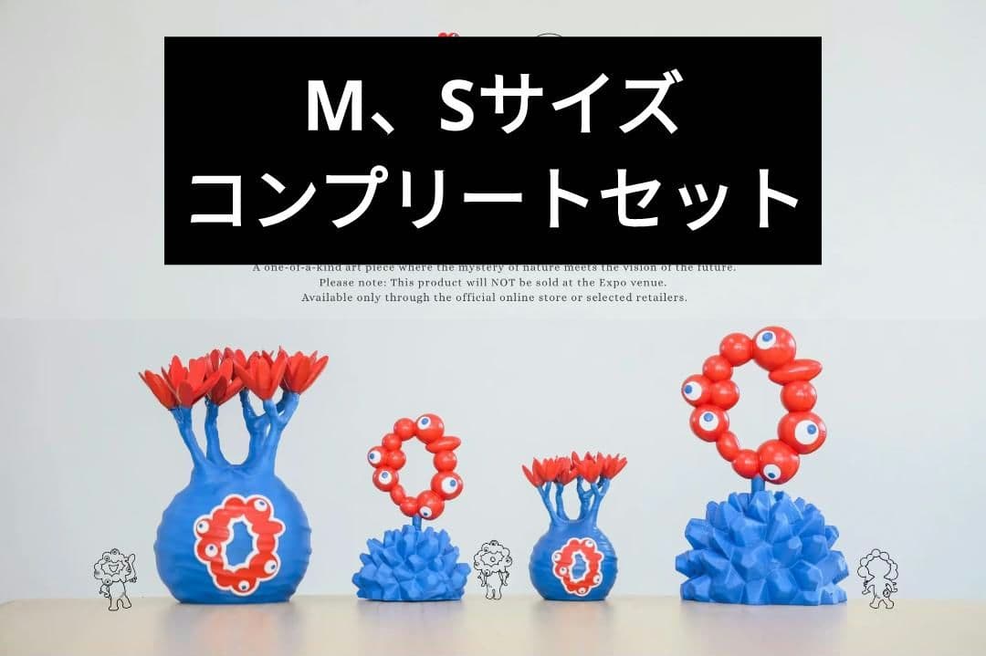 コンプ LOBINDON ロビンドン ミャクミャク グラキリス 亀甲竜 塊根