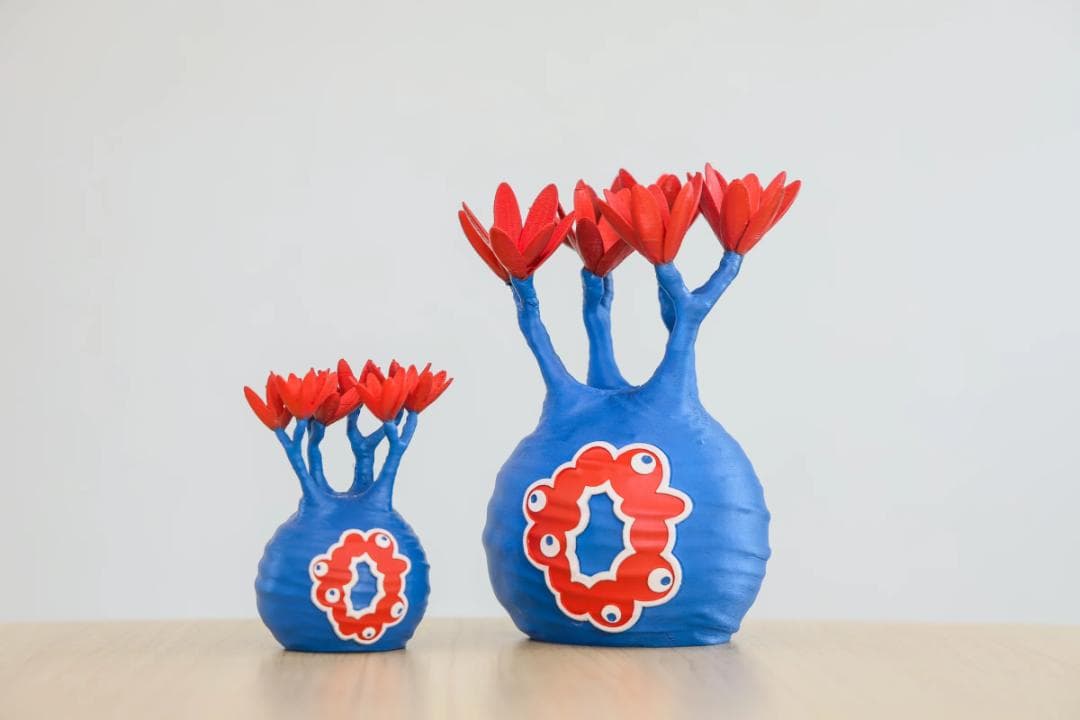 コンプ LOBINDON ロビンドン ミャクミャク グラキリス 亀甲竜 塊根