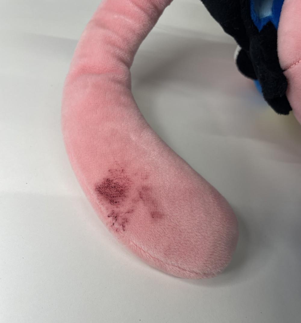 ◆ポケモンサトシゲッコウガポケモンセンター限定 2015 ぬいぐるみ　09027