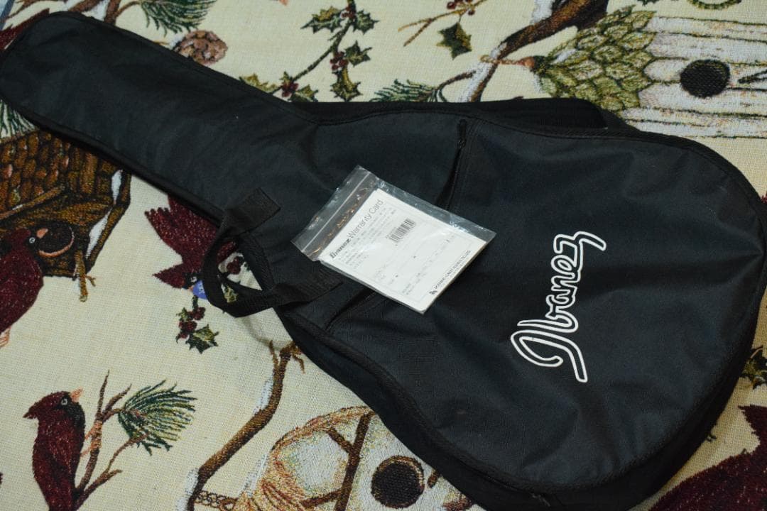 Ibanez PF200NT アコースティックギター ケース付