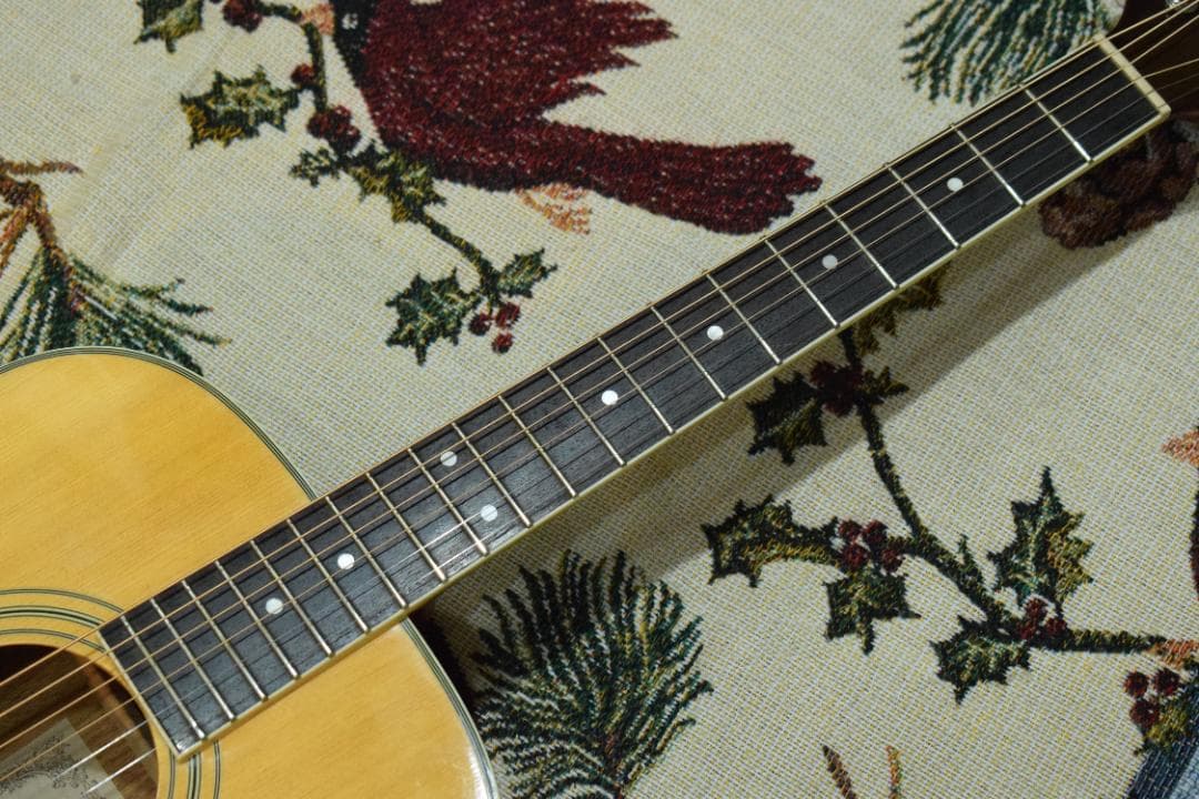 Ibanez PF200NT アコースティックギター ケース付