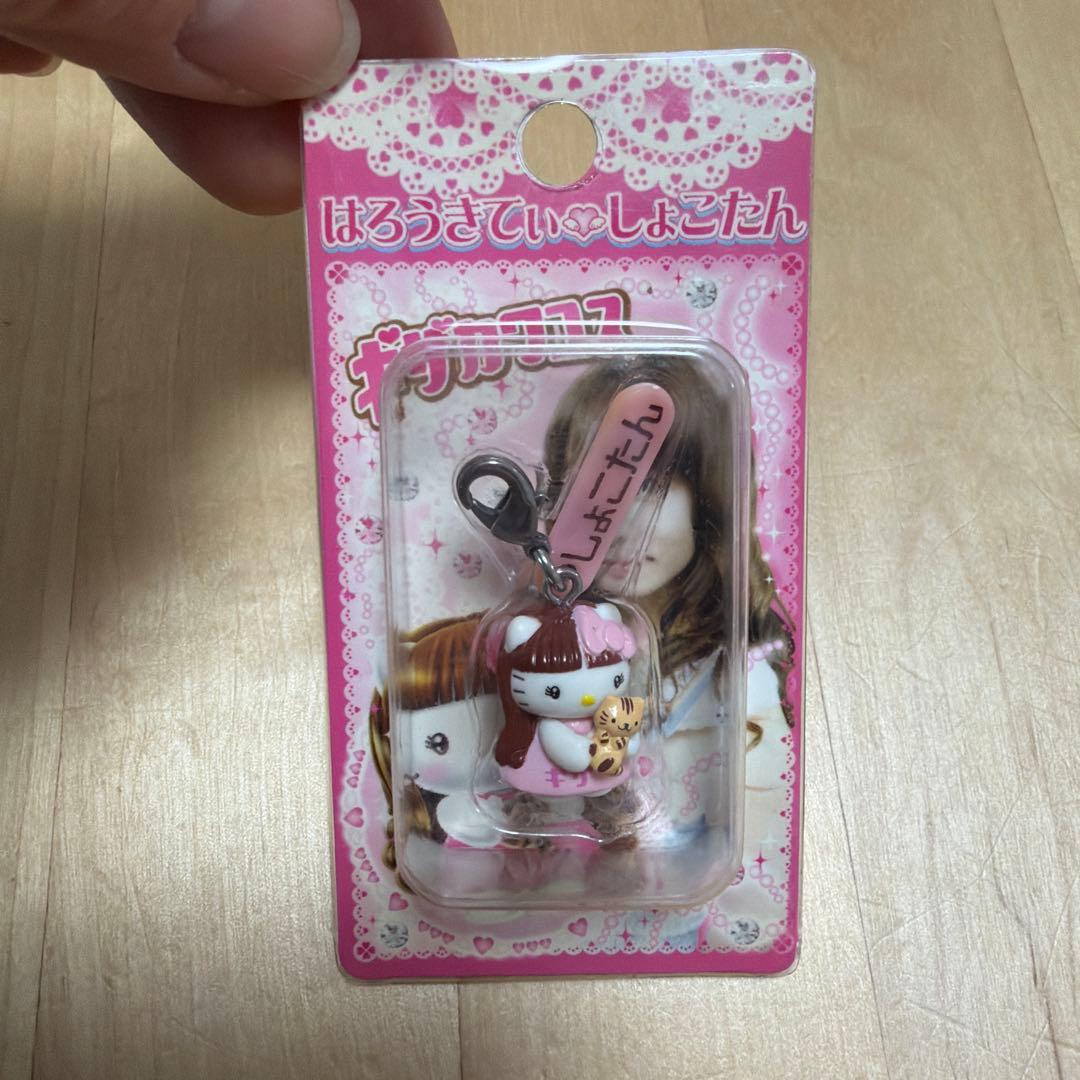中川翔子★しょこたん★ハローキティ★ファスナーマスコット★ご当地キティ★サンリオ