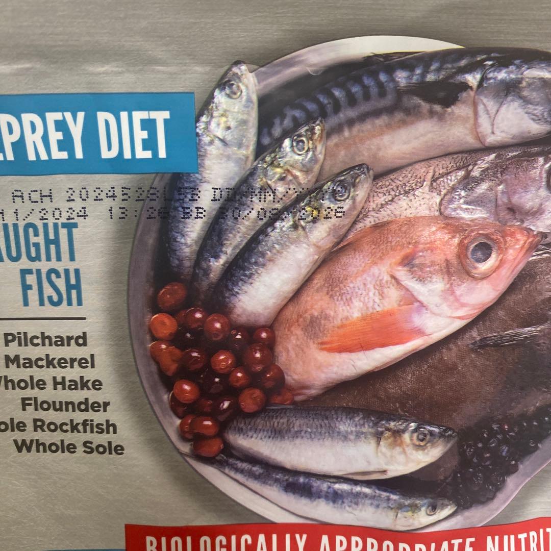 最短即日発送 オリジン シックスフィッシュ ドッグ 4kg