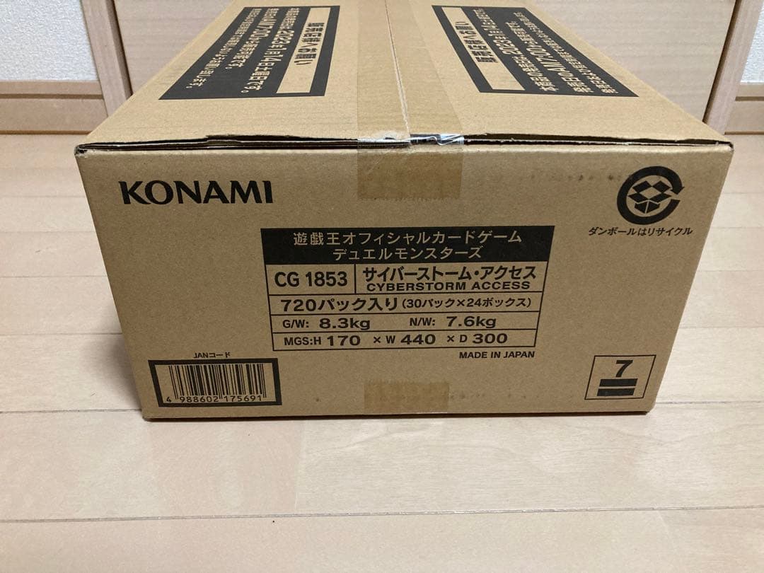 CYBERSTORM ACCESS 初回生産分1カートン