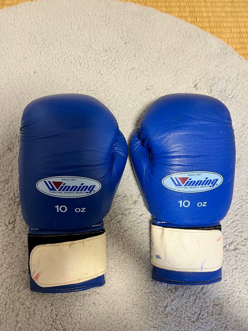 Winning ウイニング　ボクシング　グローブ　10oz