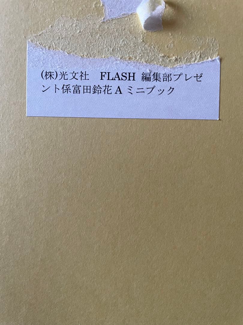 日向坂46 富田鈴花 写真集 特製アザーカットミニブック写真集　未開封
