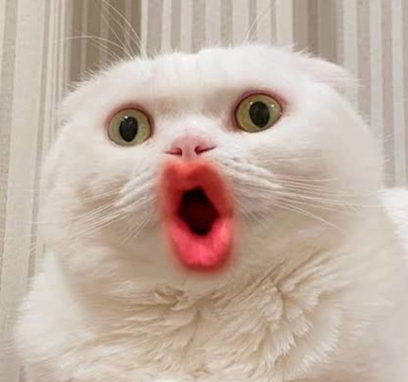 管楽器・吹奏楽器 moco-kina