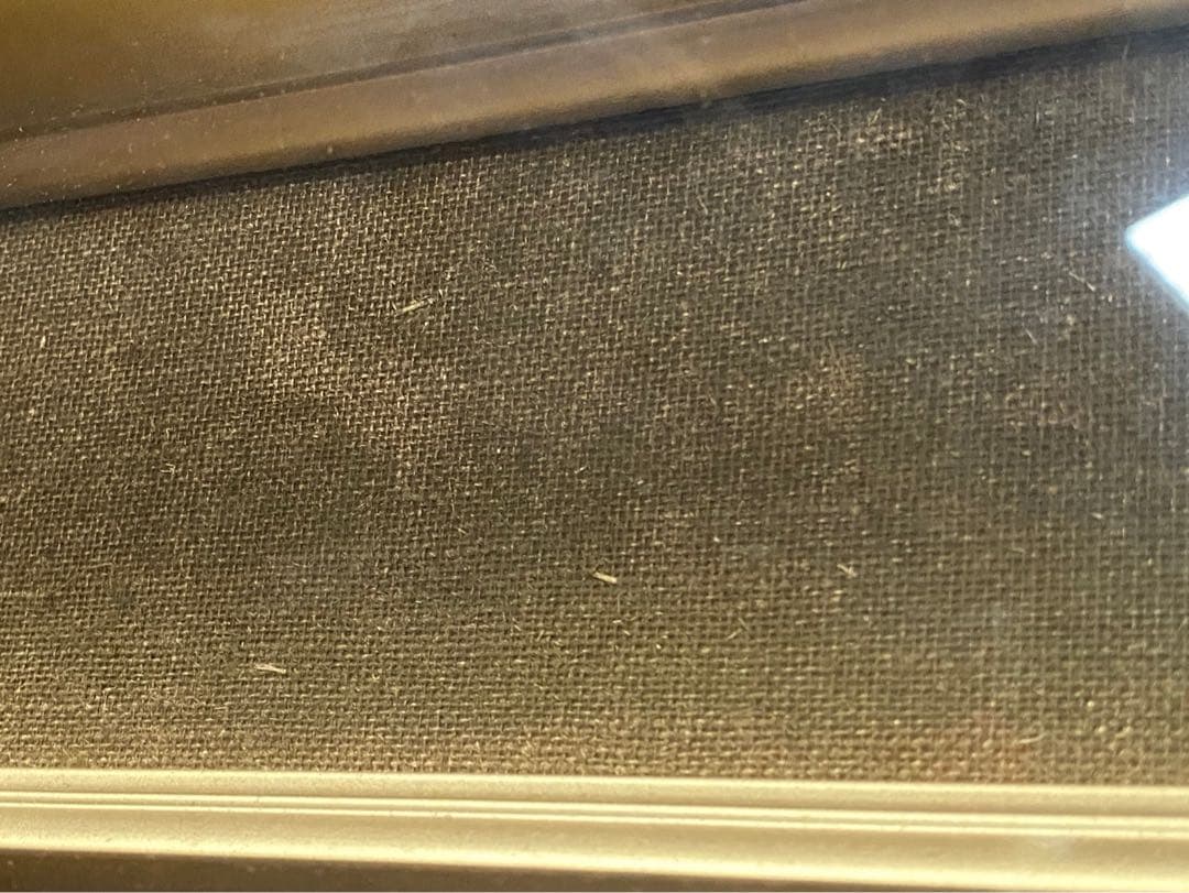 若石賛花 直筆サイン入り 静かなる森 風景画 油絵 インテリア