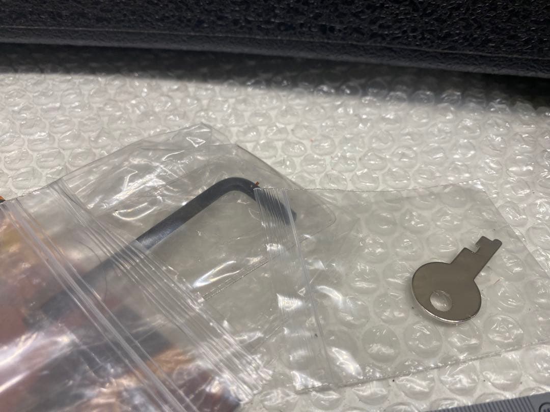 美品！エピフォン WILD KAT 純正ハードケース付き　セミホロウボディ