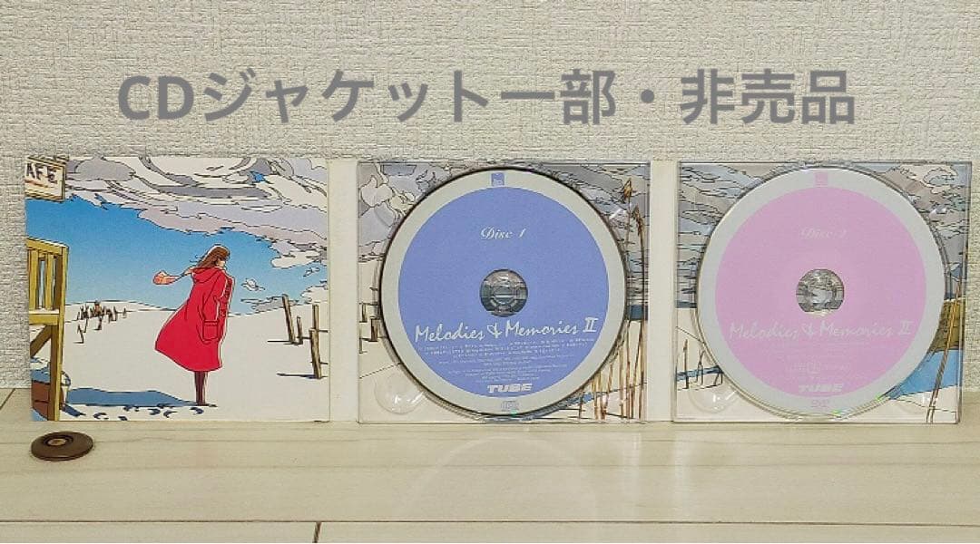 TUBE CDジャケット⭐︎コラボ作品 【わたせせいぞう絵画】遥かなる僕たちの海