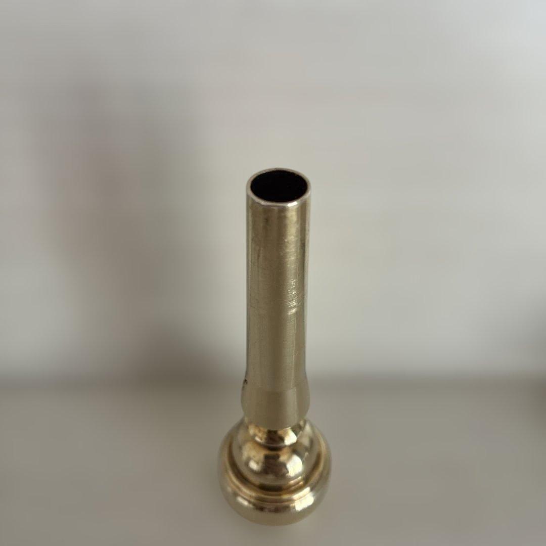 フラーテプレチージョン ゴールドプレート サイズ5