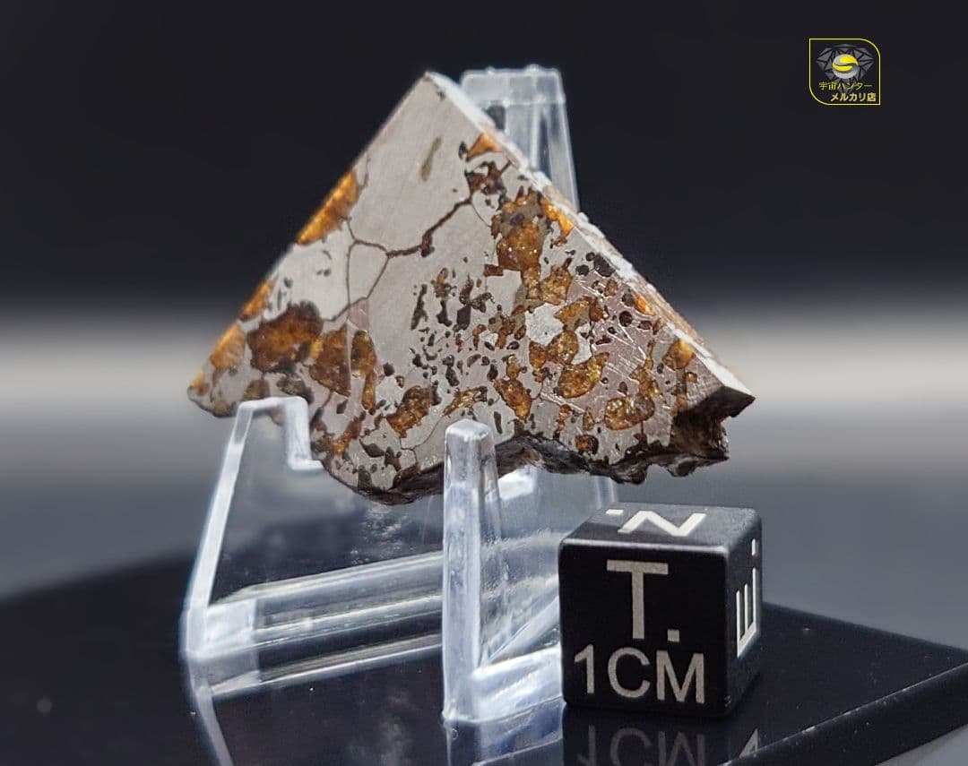 隕石 Hassi El Biod 002 パラサイト 12.23g⭐