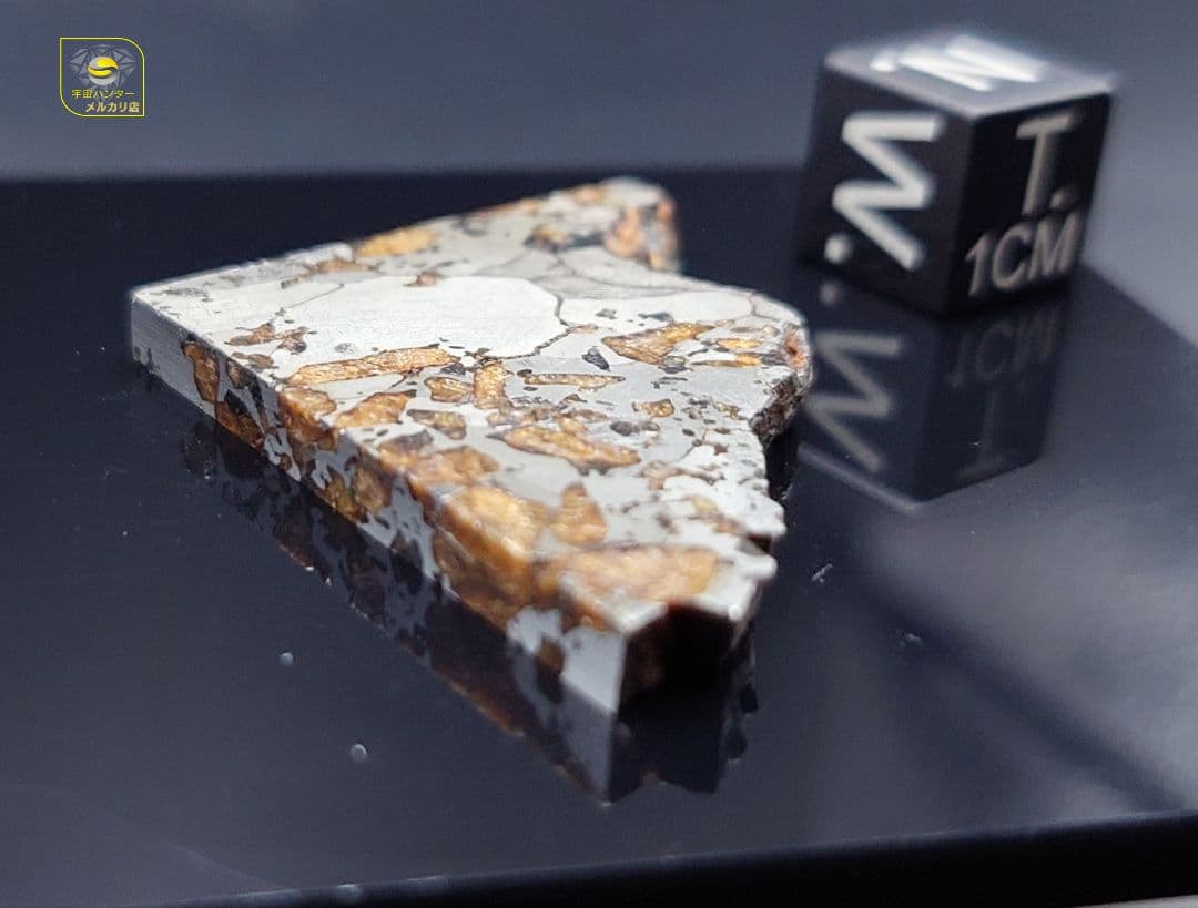 隕石 Hassi El Biod 002 パラサイト 12.23g⭐