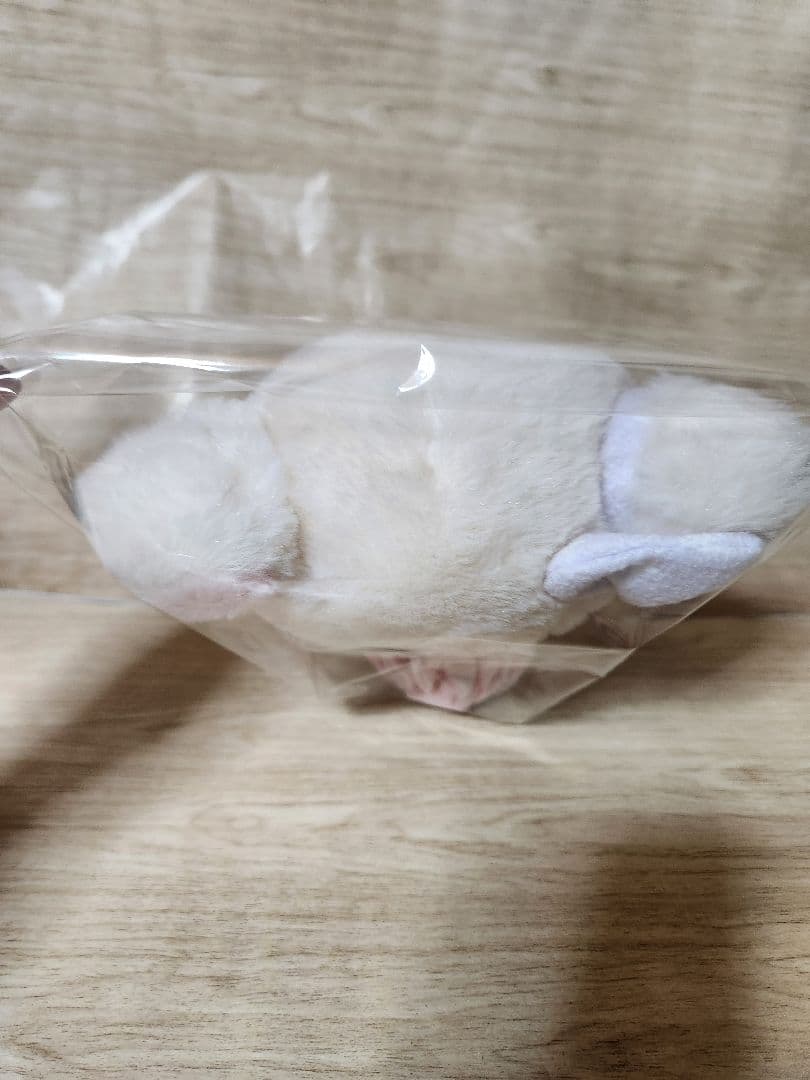 新品未使用✨コリラックマ　パジャマパーティー　ストア限定　(No.24)