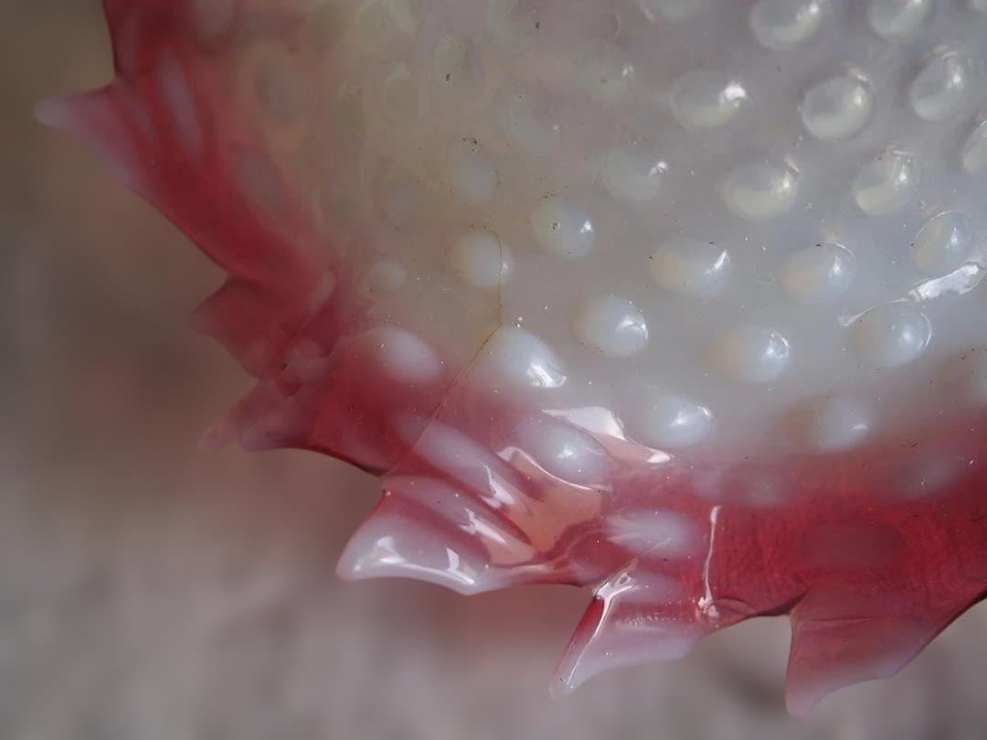 オパールガラス ホブネイル ピンク フリル ランプシェード 吹きガラス/K334