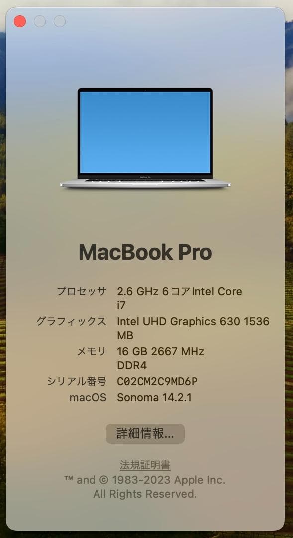 Apple MacBook Pro(16インチ, 2019)16GB/512GB