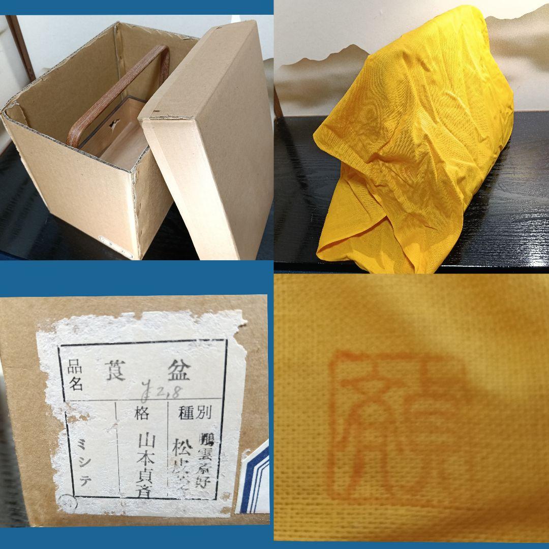 AN94 山本貞斎 莨盆 木地 手付 銀杏透かし彫 共布 小物3点茶道具