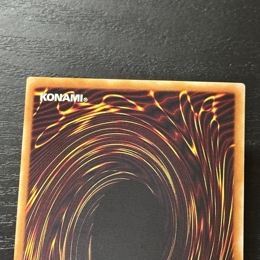 遊戯王 ブラックパラディン レリーフ