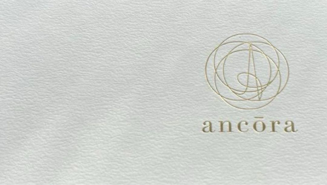 【限定販売】アンコーラ プロフェッショナルギアスリム万年筆 地球 極細字（EF）