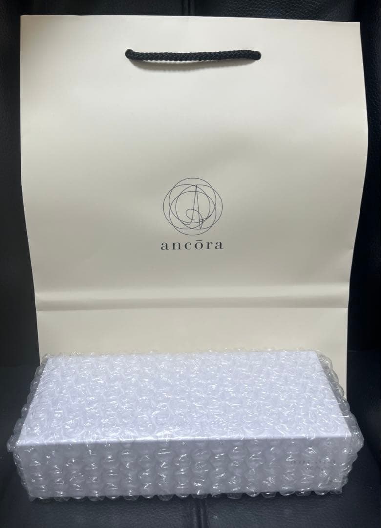 【限定販売】アンコーラ プロフェッショナルギアスリム万年筆 地球 極細字（EF）