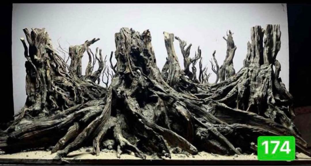 TTD 【⭐︎ なお様⭐︎】【美品・数量限定】