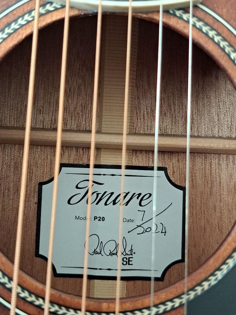 rnfjfs　新品同様　Paul Reed Smith SE P20E