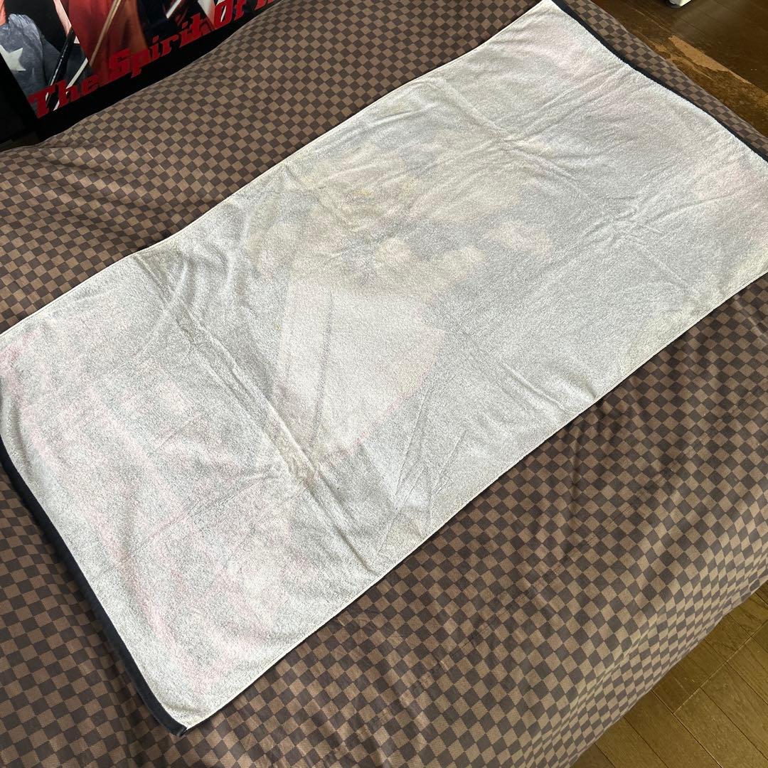 矢沢永吉SBT縦型シルエット