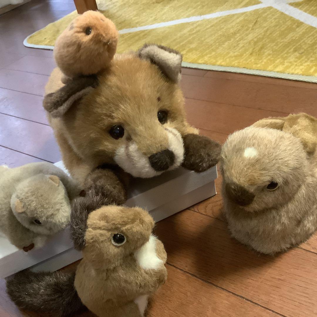 やまね工房　キツネ、エゾリス、モモンガ、やまね、野うさぎのぬいぐるみセット